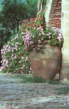 Casa Migliaca
