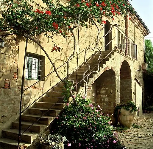 Farm stay Casa Migliaca *