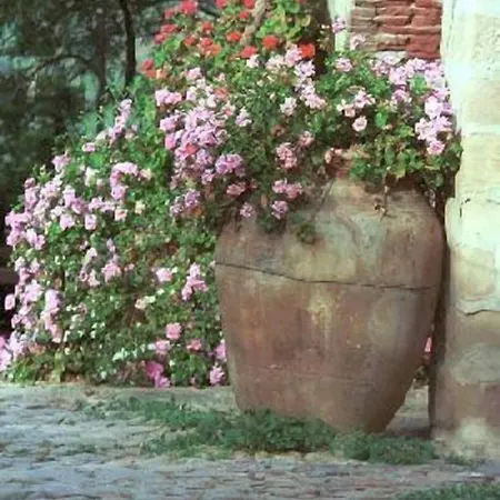 Casa Migliaca *